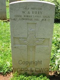 Dar Es Salaam War Cemetery - Riley, William Arnold